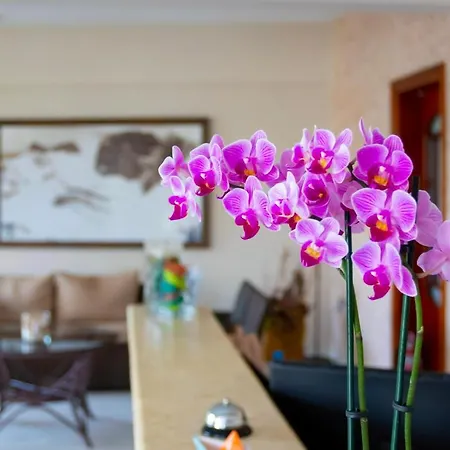 Hotell Dimitria *