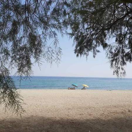 Dimitria * 렙토카리아