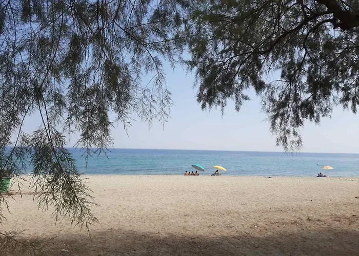 Dimitria * 乐托卡亚