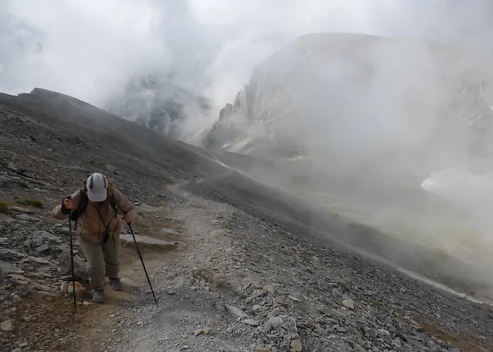 Dimitria 乐托卡亚