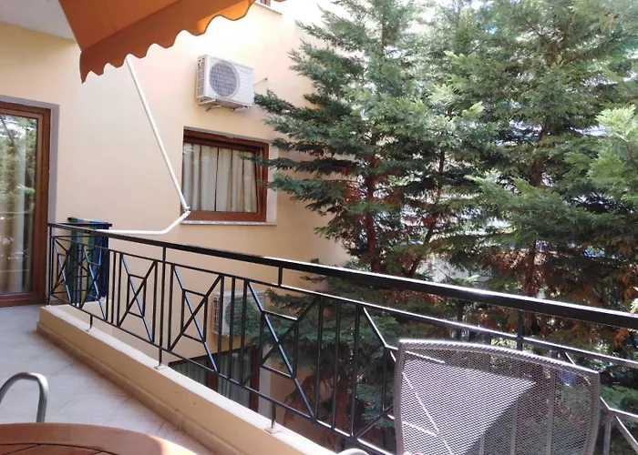 Dimitria * 乐托卡亚